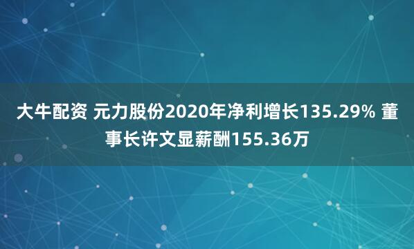 大牛配资 元力股份2020年净利增长135.29% 董事长许文显薪酬155.36万