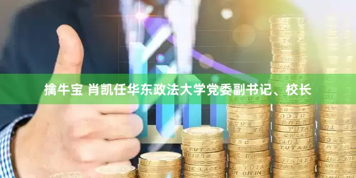 擒牛宝 肖凯任华东政法大学党委副书记、校长