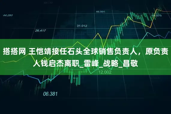 搭搭网 王恺靖接任石头全球销售负责人，原负责人钱启杰离职_雷峰_战略_昌敬