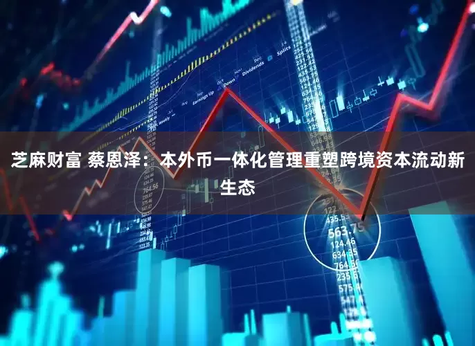 芝麻财富 蔡恩泽：本外币一体化管理重塑跨境资本流动新生态