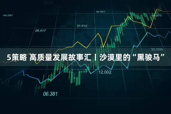 5策略 高质量发展故事汇丨沙漠里的“黑骏马”