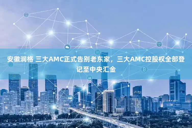 安徽润格 三大AMC正式告别老东家，三大AMC控股权全部登记至中央汇金